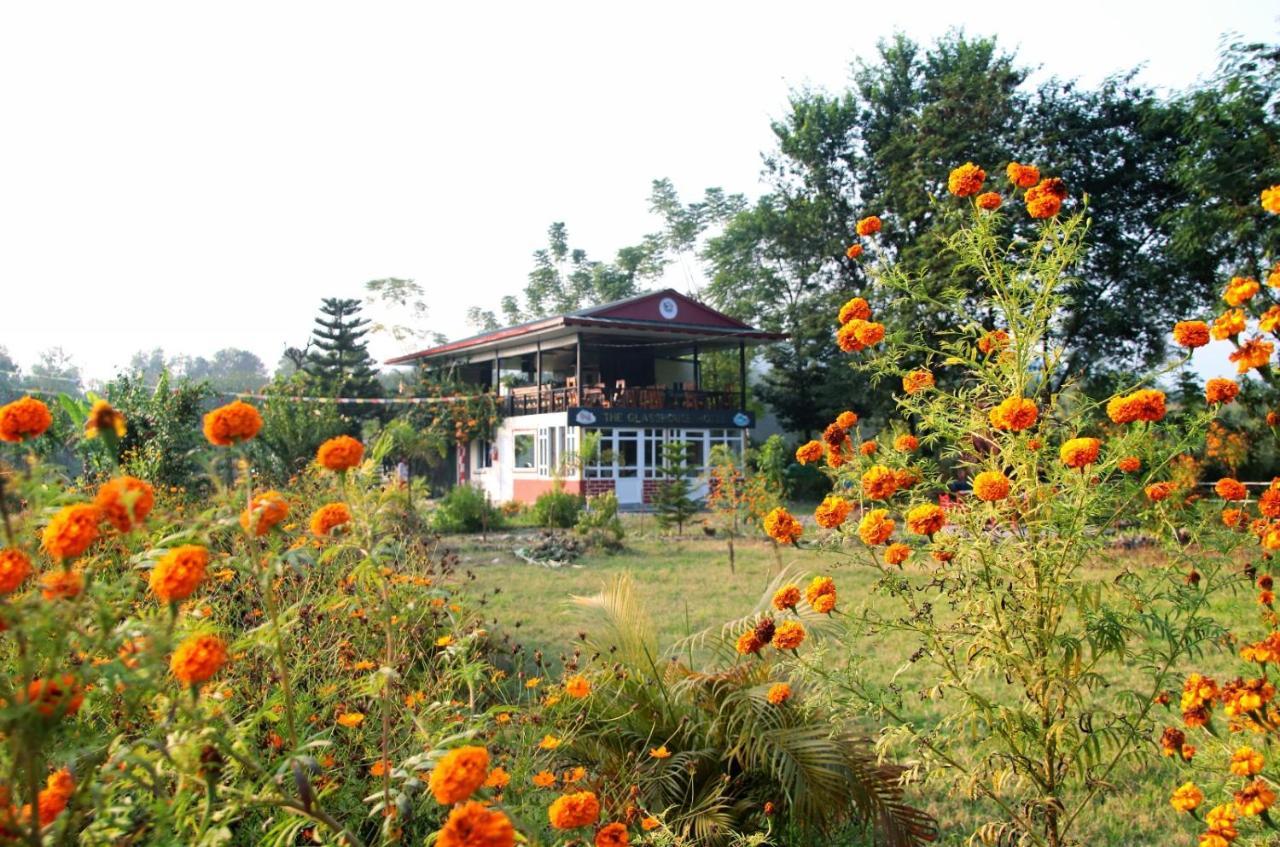 The Glasshouse Hotel Kawasoti Exteriér fotografie